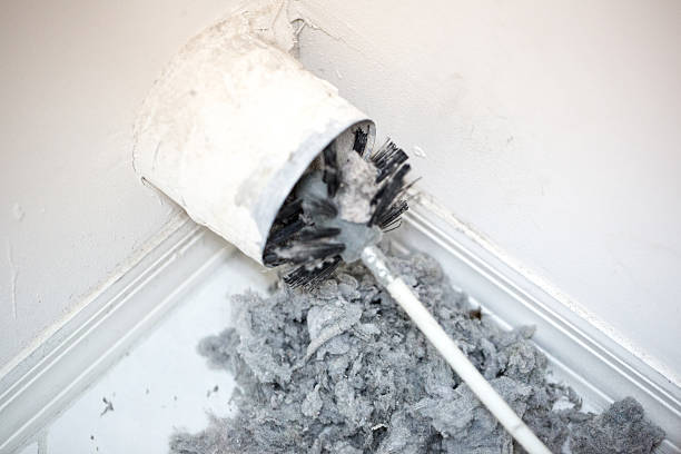 Best Affordable Duct Cleaning Services  in Edison, GA